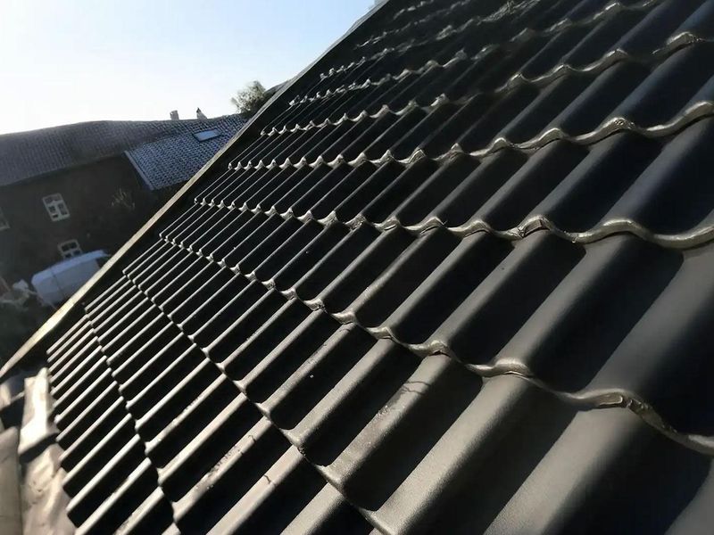 Professionele dakdekker Beek en dakpan reparatie door Dakdekker Het Dakje in Maastricht en Limburg